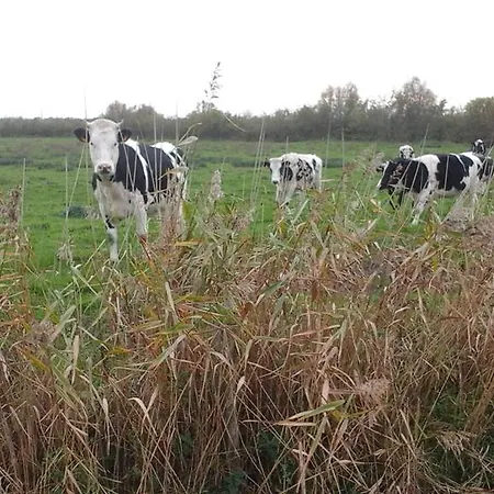 Le French Prázdninový dům